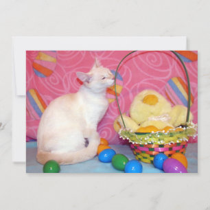 Tiffanys Osterkorb - Katze/ Kätzchen - Flachkarte Feiertagskarte