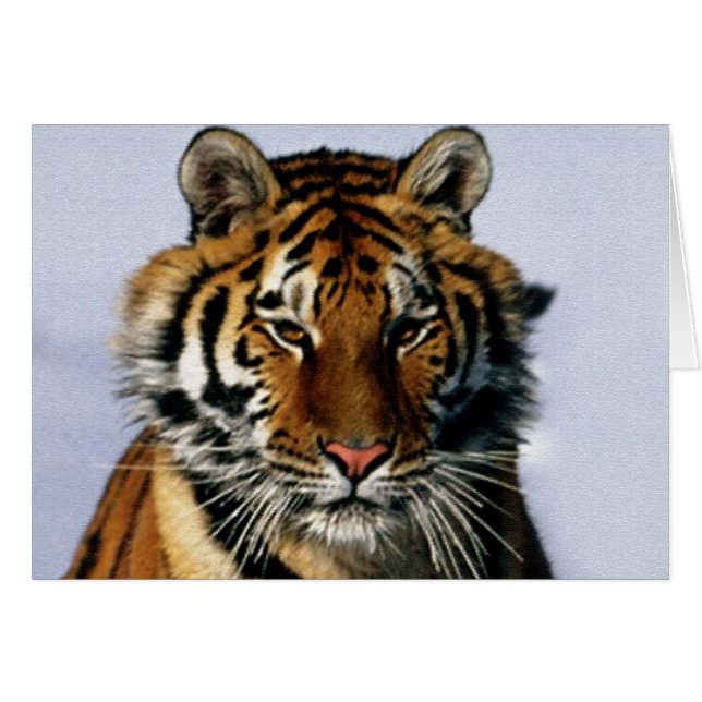 Tiger (Vorderseite (Horizontal))