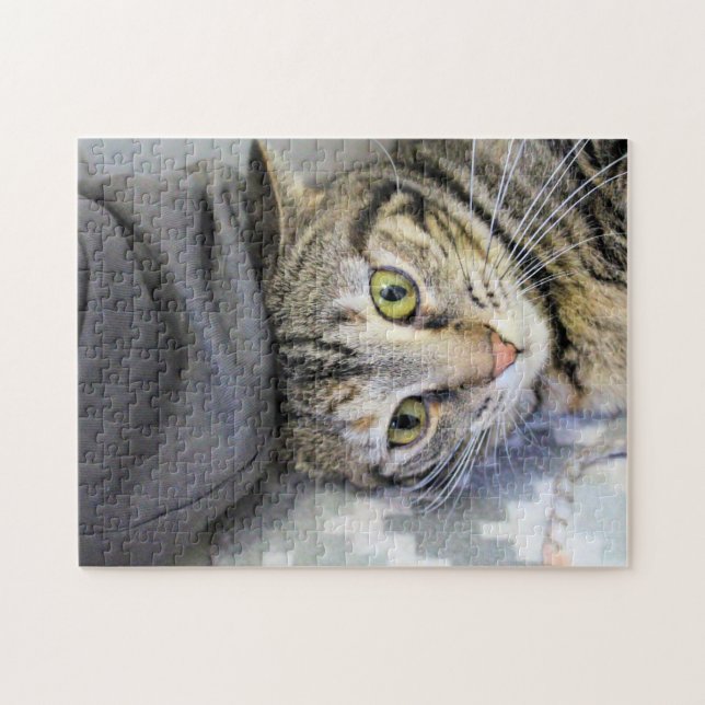 Tiger (Horizontal)