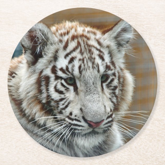 Tiger20151001 Runder Pappuntersetzer (Vorderseite)