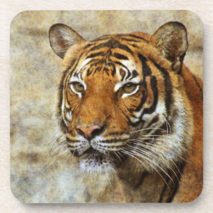 Tiger20151202 Untersetzer