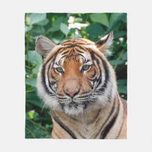 Tiger 001 fleecedecke