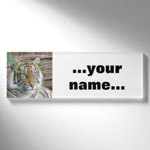 Tiger_002 Namenschild