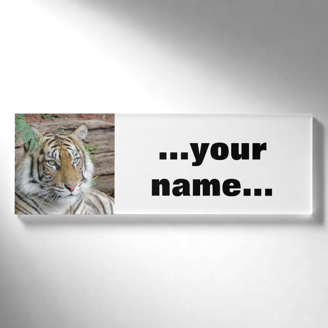 Tiger_002 Namenschild (Vorderseite)