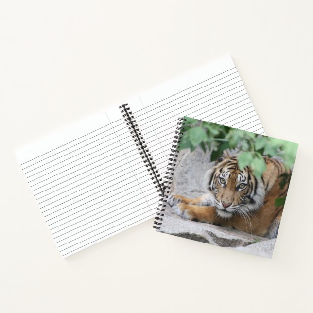 Tiger 008 notizbuch (Innenseite)