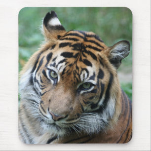 Tiger 013 mousepad