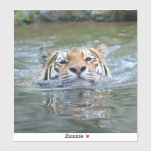 Tiger 028 aufkleber