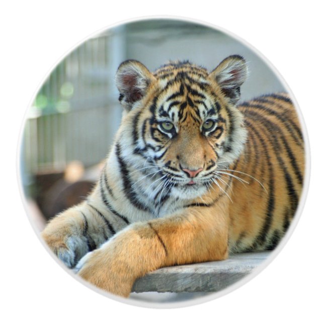 Tiger 034 keramikknauf (Vorderseite)