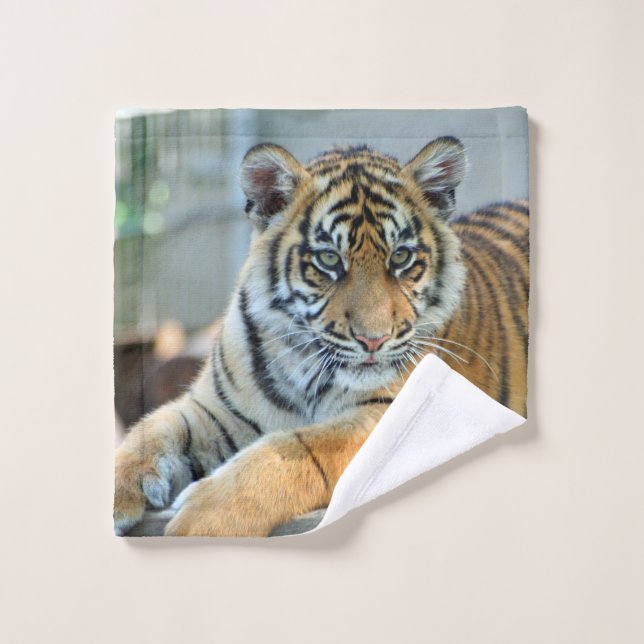 Tiger 034 waschlappen (Waschlappen)