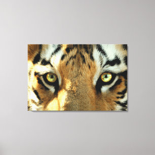 Tiger 1 - überzogene Canvas Leinwanddruck
