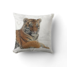 Tiger_2015_0102