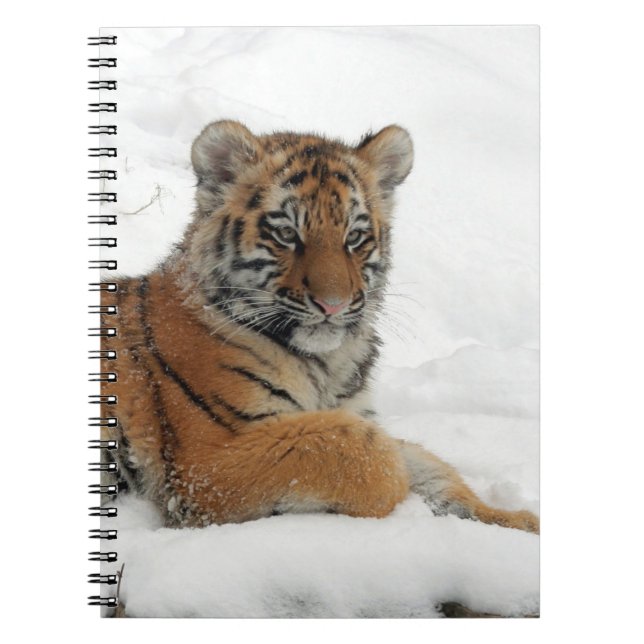 Tiger_2015_0102 Notizblock (Vorderseite)