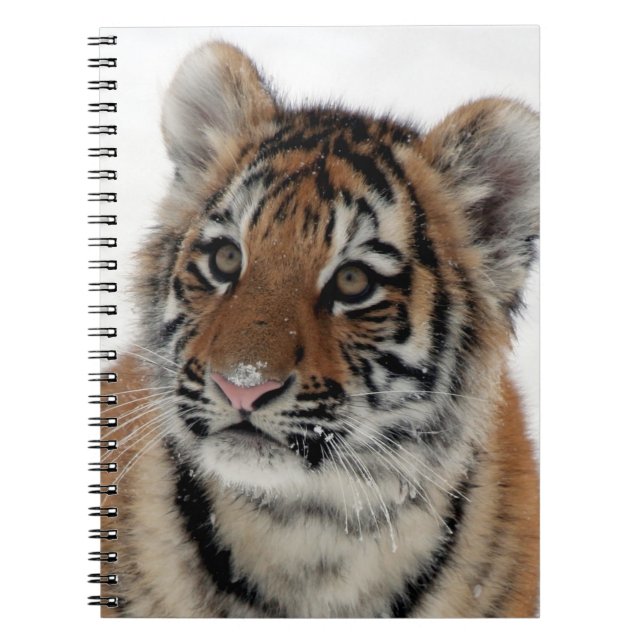 Tiger_2015_0114 Notizblock (Vorderseite)