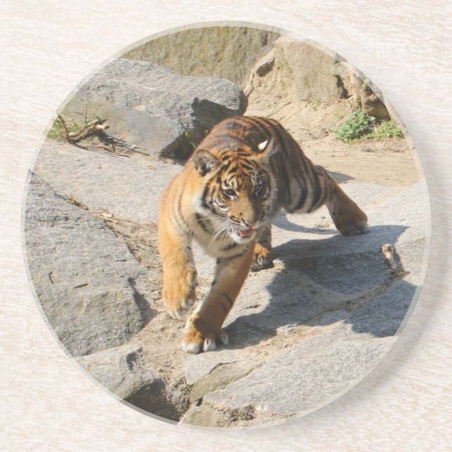 Tiger_20190302_by_JAMFoto Getränkeuntersetzer (Vorne)