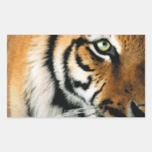 Tiger 2 - Aufkleber