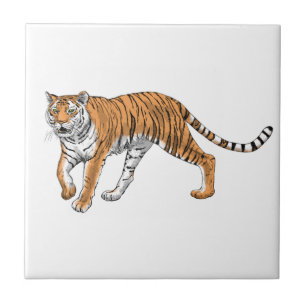 Tiger 2 fliese