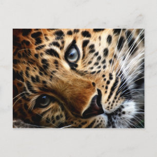 Tiger 3 - Carte postale