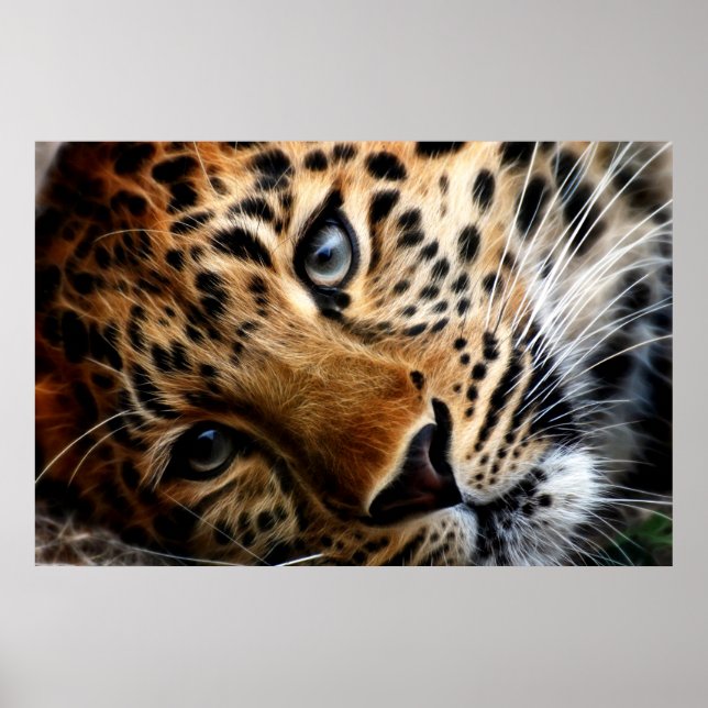 Tiger 3 - Poster (Devant)