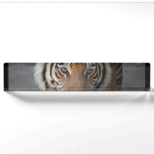 tiger-54 namensplakette