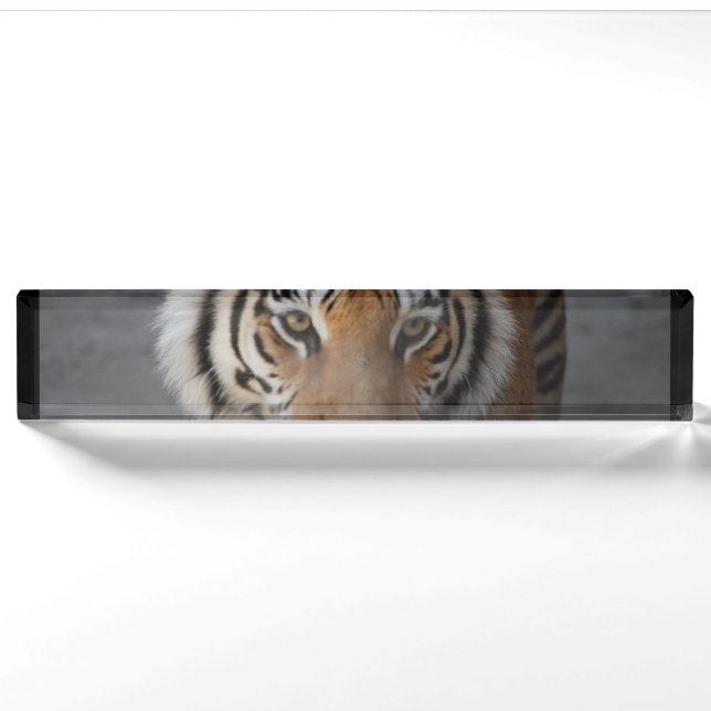 tiger-54 namensplakette (Vorderseite)