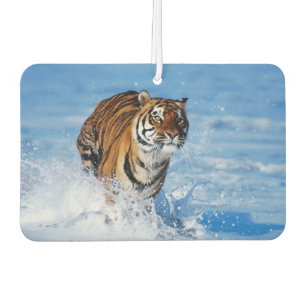 Tiger Air Freshener Autolufterfrischer