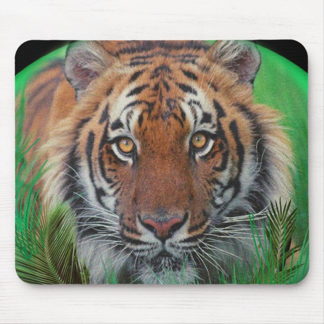 Tiger am nächtlichen Mauspad (Vorne)
