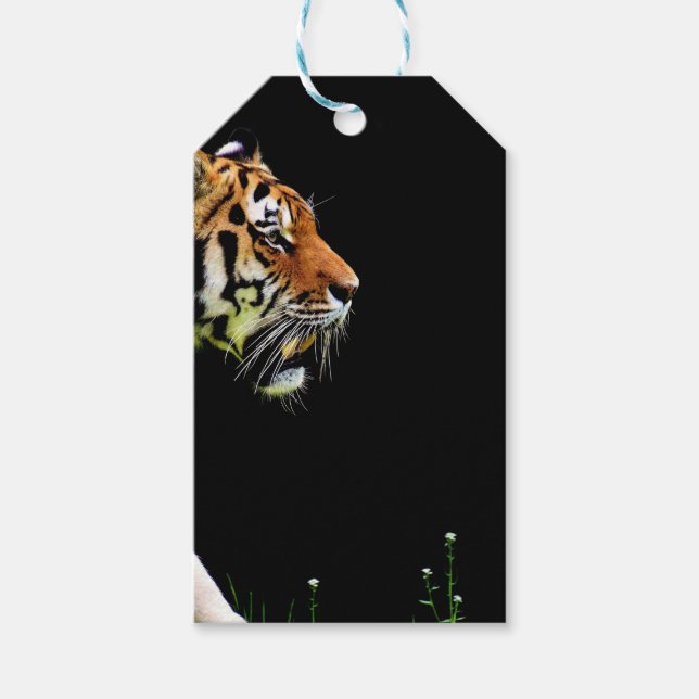 Tiger Approaching - Wildtierarbeiten Geschenkanhänger (Vorderseite)