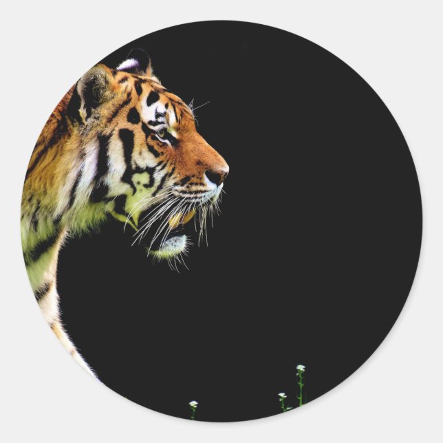 Tiger Approaching - Wildtierarbeiten Runder Aufkleber (Vorderseite)