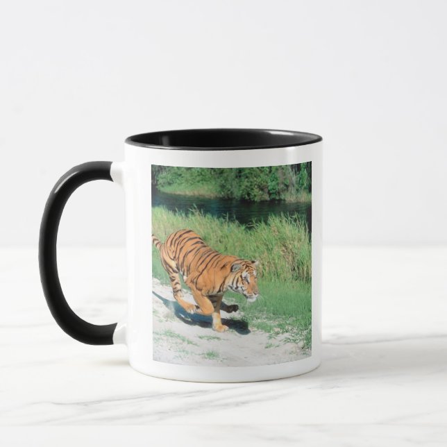 Tiger auf Weg Tasse (Links)