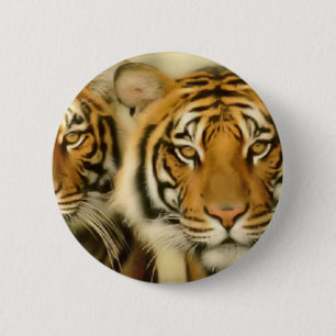 Tiger-Augen Button