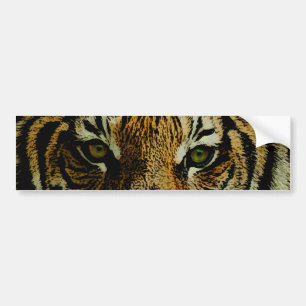 Tiger Autoaufkleber