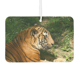 Tiger Autolufterfrischer