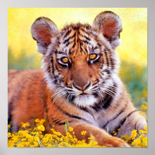 Tiger Baby Cub Poster (Vorne)