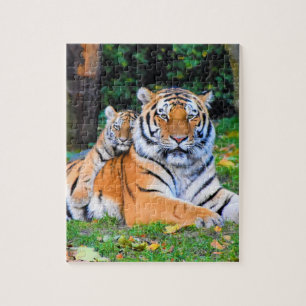 Tiger & Baby Posing Schöne Rasenmischung