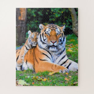 Tiger & Baby Posing Schöne Rasenmischung