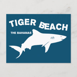 Tiger Beach - Die Bahamas Tauchen mit Haien Postkarte