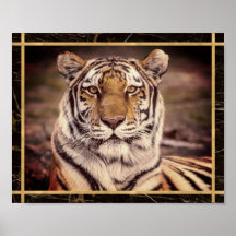 Tiger Big Cat Foto Image Print Poster