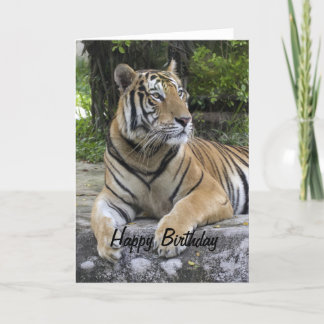Tiger Blank Birthday Card Karte