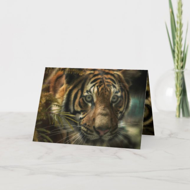 TIGER BODEN ZERO KARTE (Vorderseite)