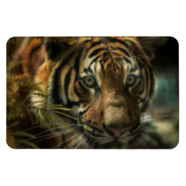 TIGER BODEN ZERO MAGNET