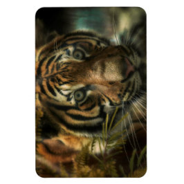 TIGER BODEN ZERO MAGNET