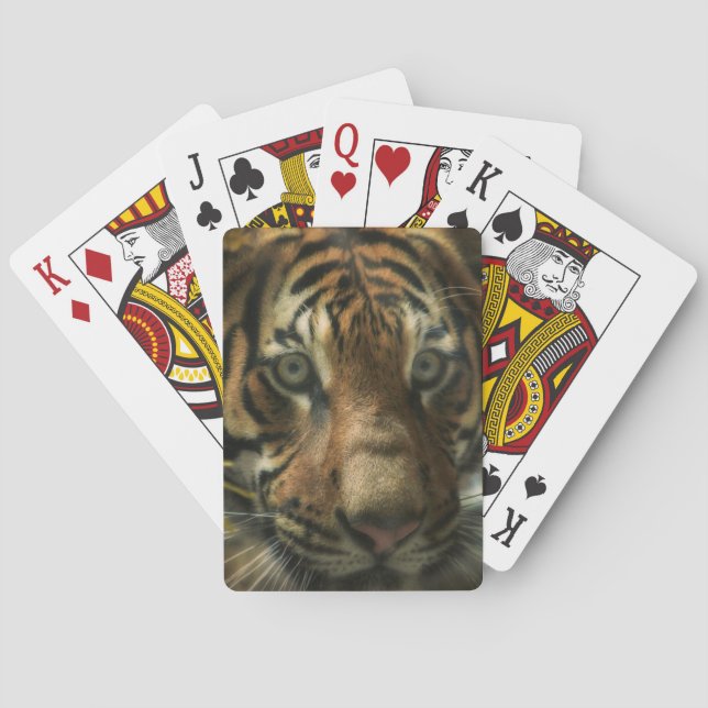 TIGER BODEN ZERO SPIELKARTEN (Rückseite)