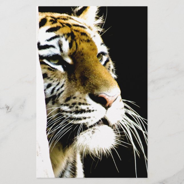Tiger Briefpapier (Vorderseite)