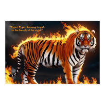 Tiger Burning Poster