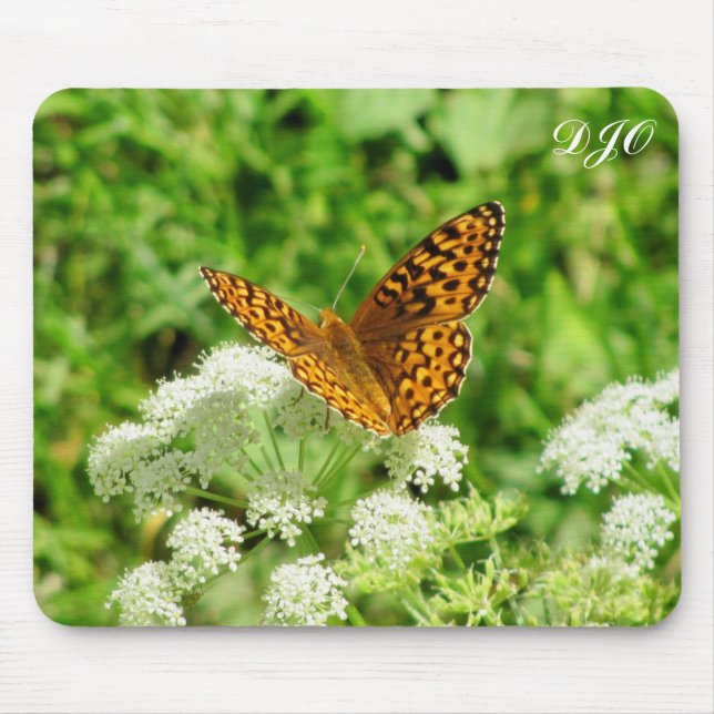 Tiger Butterfly auf weißer Blume Mousepad (Vorne)