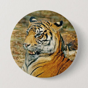 Tiger Button