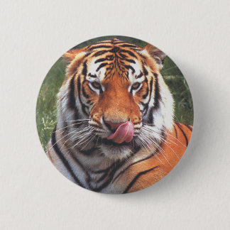 Tiger Button