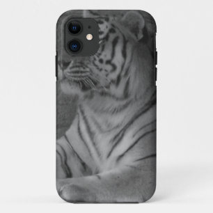 Tiger title_seo2