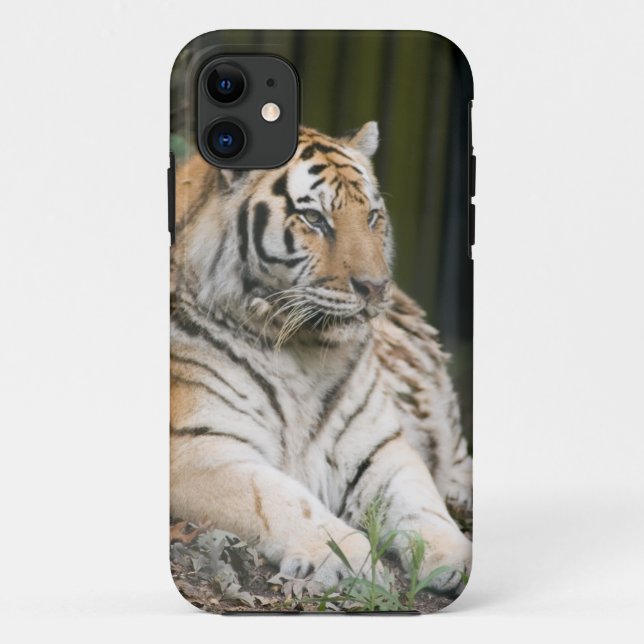 Tiger Case-Mate iPhone Hülle (Rückseite)