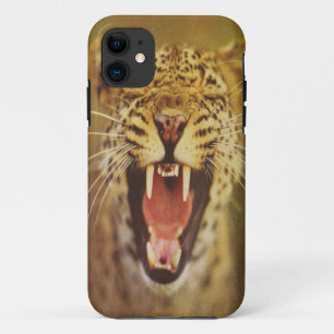 TIGER TITLE_SEO2
